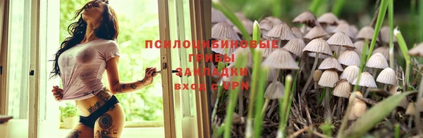 стафф Абдулино