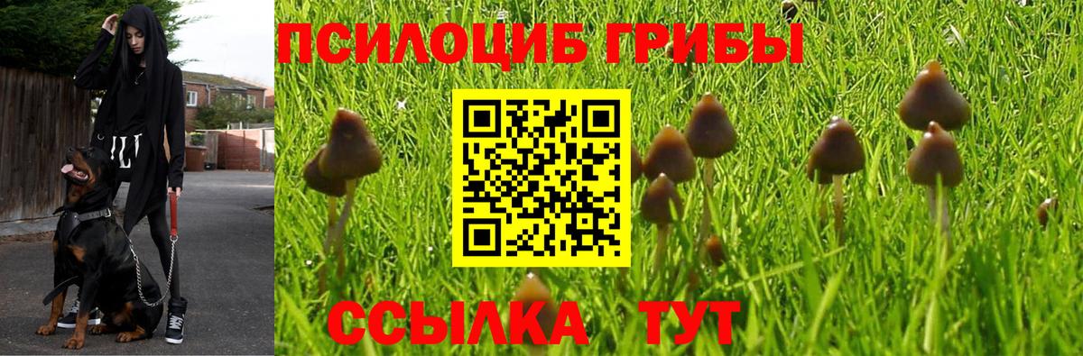Архангельск  Галлюциногенные грибы MAGIC MUSHROOMS  Вход с VPN 